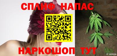 дмт Краснодар